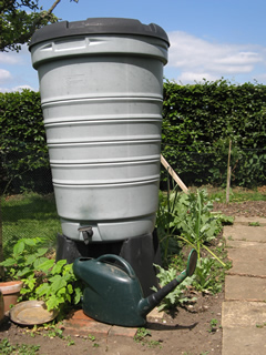 Rainwater harvesting